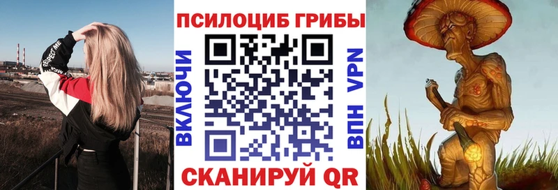 Галлюциногенные грибы прущие грибы  Купить закладки  Медвежьегорск 